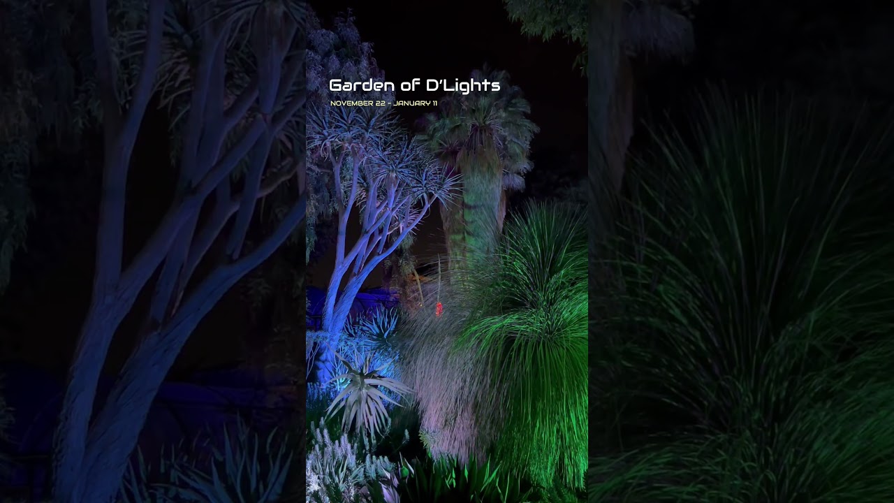 Garden of D'Lights - Holiday Light Show at the Ruth Bancroft Garden