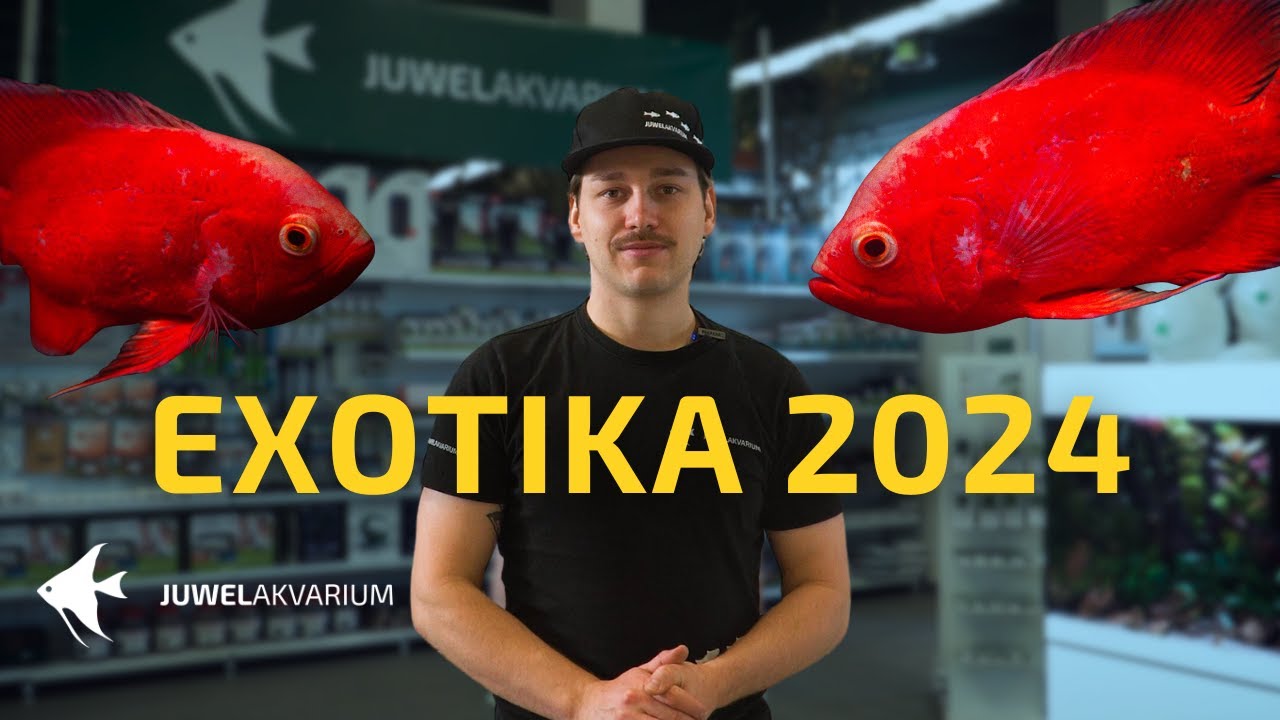 Výstava Exotika 2024 Lysá nad Labem
