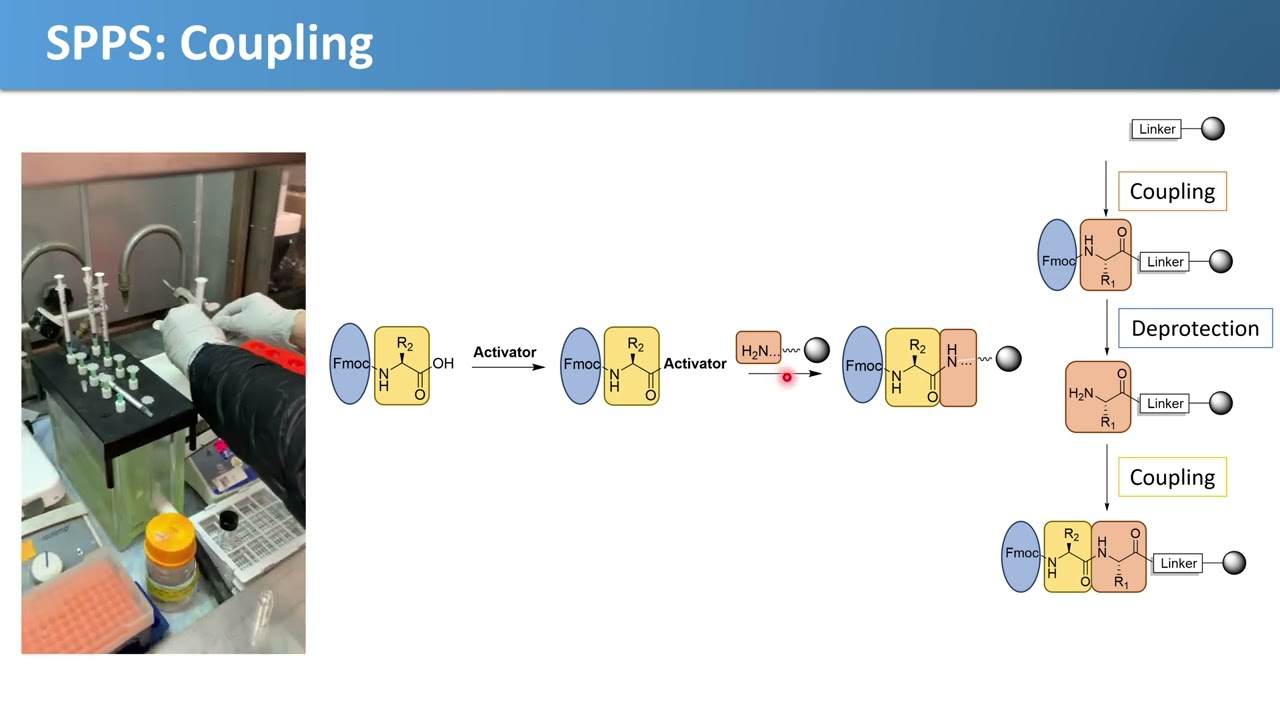 EJPLab SPPS Overview