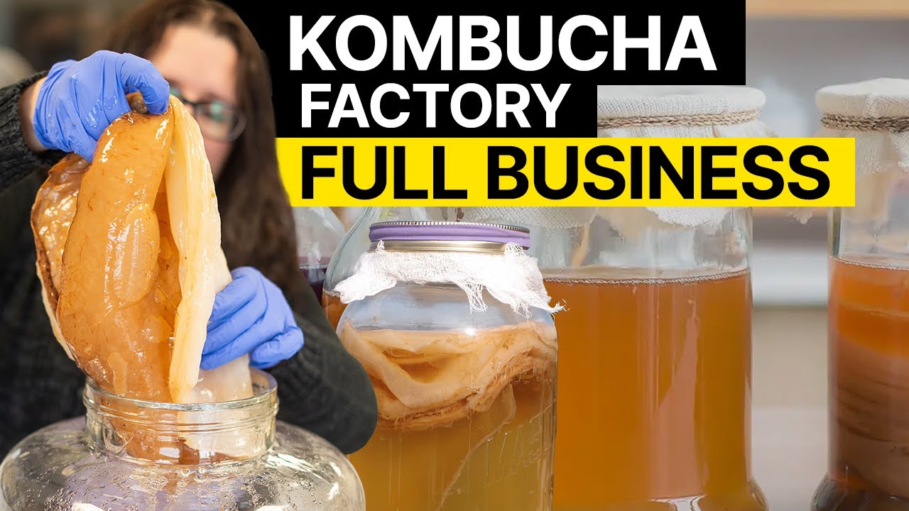 Start Your KOMBUCHA Business - Full Guide ($1k to $50k)