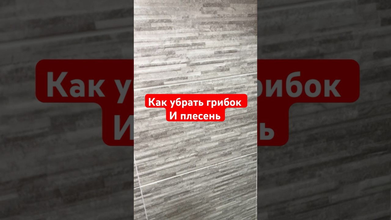 Как избавиться от грибка и плесени?! #грибок #лайфхак #плесень