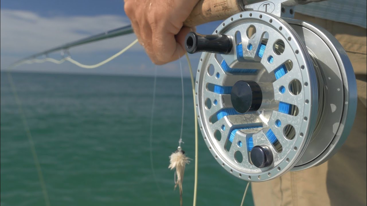 CTS S3:E8 Tarpon Is As Tarpon Does