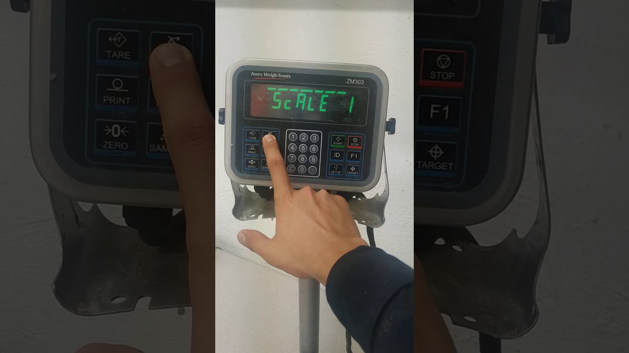 Calibración de Báscula Avery Weight-tronix ZM303