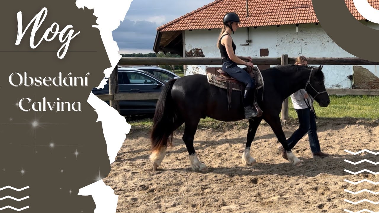 Vlog // Obsedání Calvina