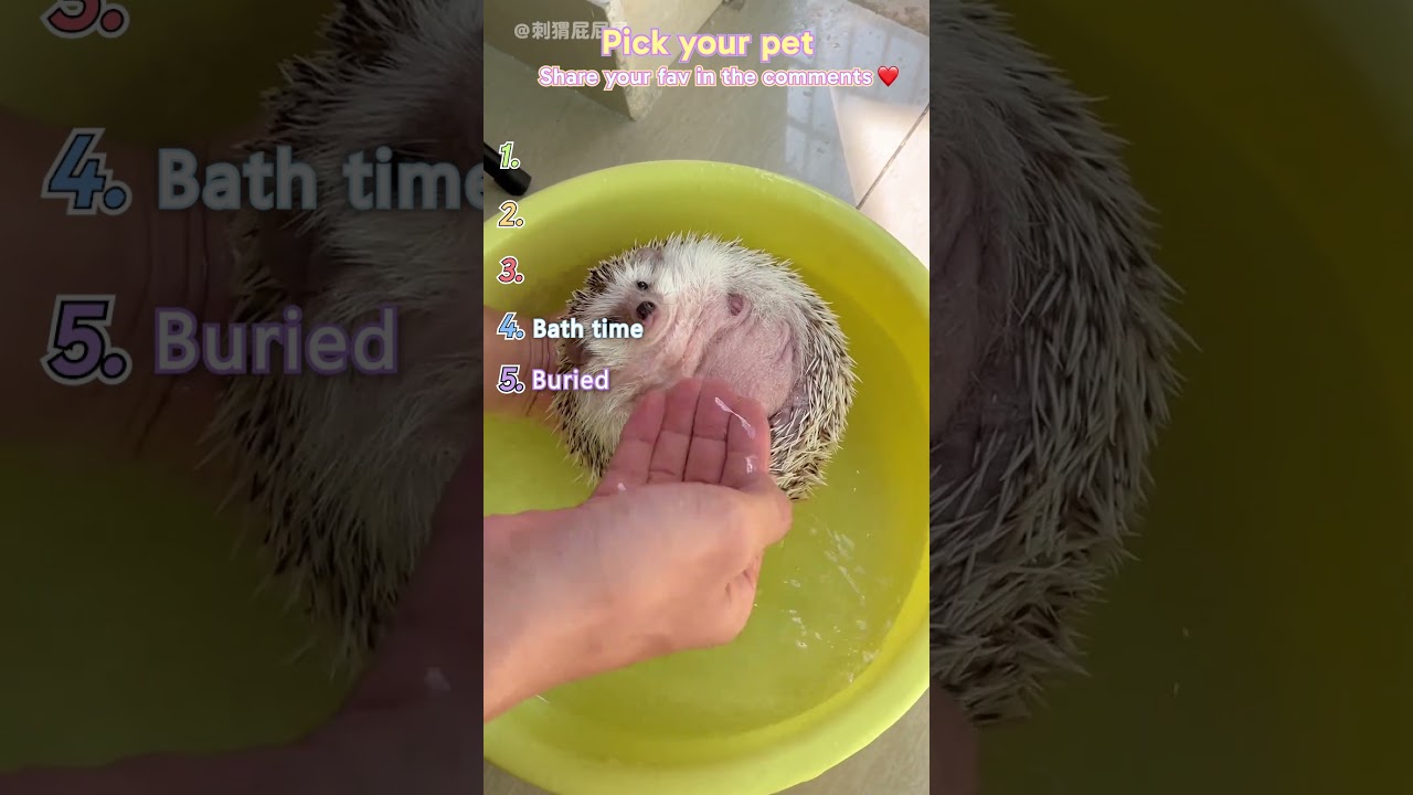 Ranking CUTEST Pets EVER! 😍 #shorts