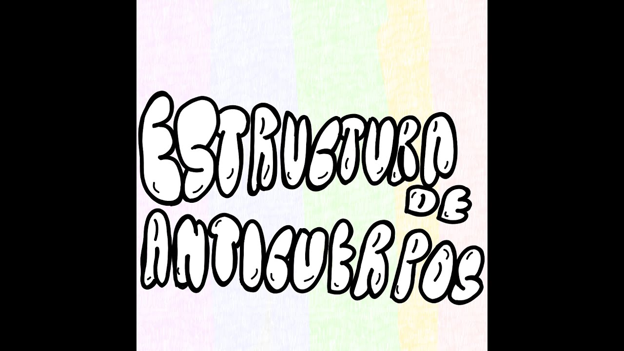 ¿Que son los anticuerpos y como es su estructura?