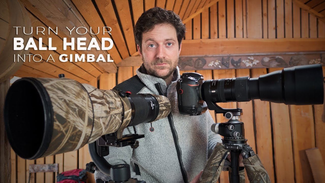 HOW TO TURN YOUR BALL HEAD INTO A GIMBAL | tips for wildlife photography [photo friday]