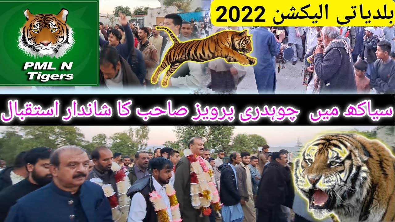 Baldayti Alection 2022 Siakh Azadkashmir | Siakh الیکشن | Ch parvaiz Win 🐅🐅 | Siakh PMLN Tiger Win