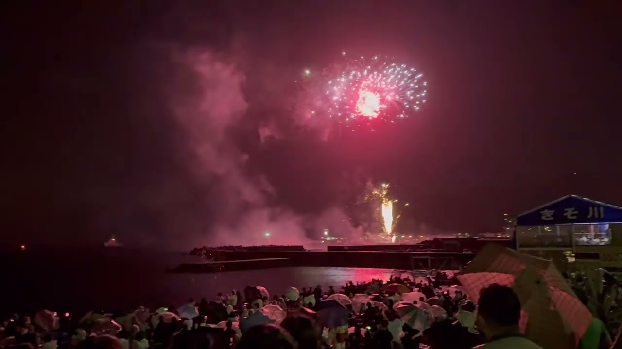 Cherry Blossom Viewing, Shizuoka Ito 8月の10￼花見2025 