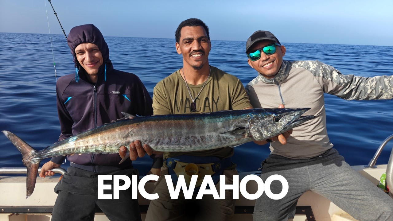 We Were NOT Expecting This Epic Wahoo and Epic bites on jigging