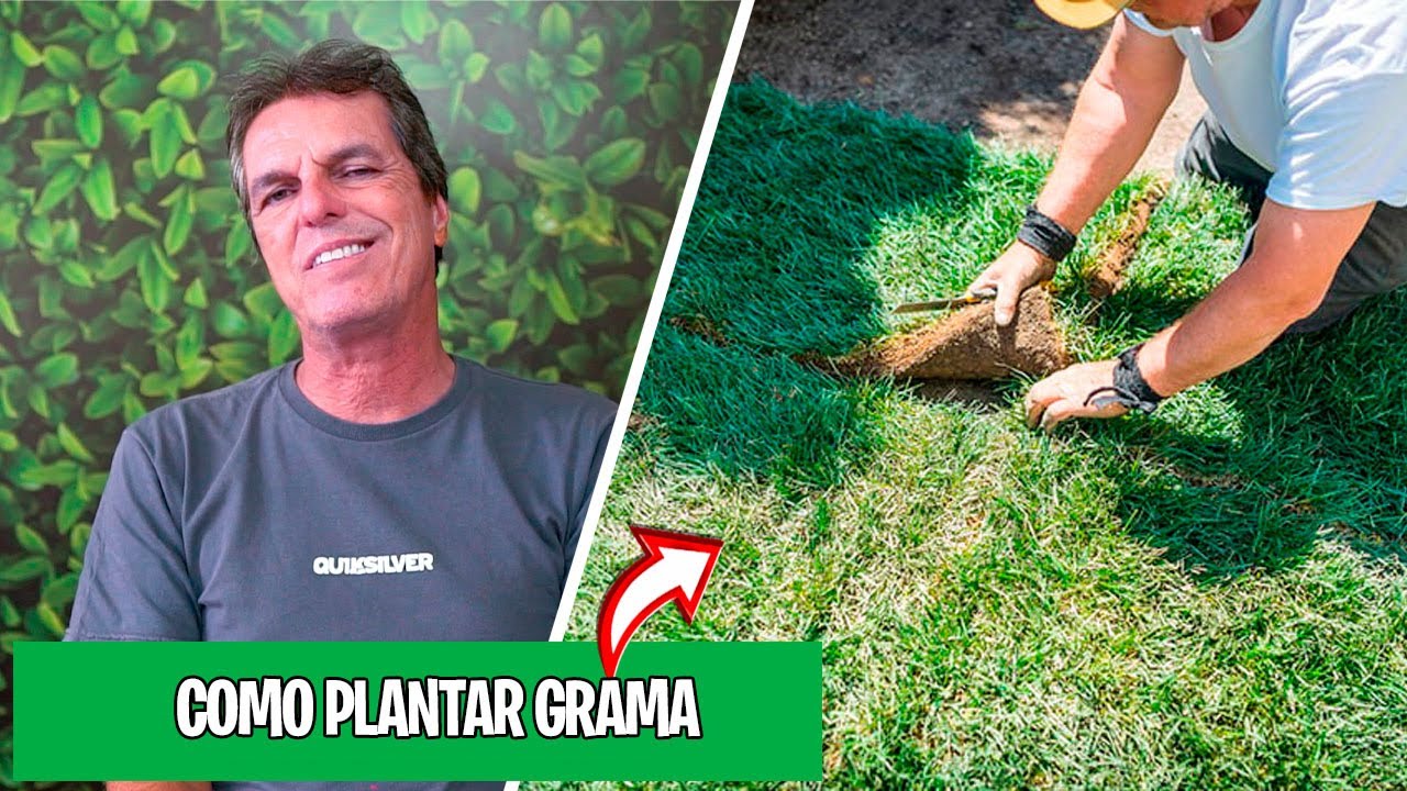 COMO PLANTAR GRAMA da MANEIRA CORRETA ?
