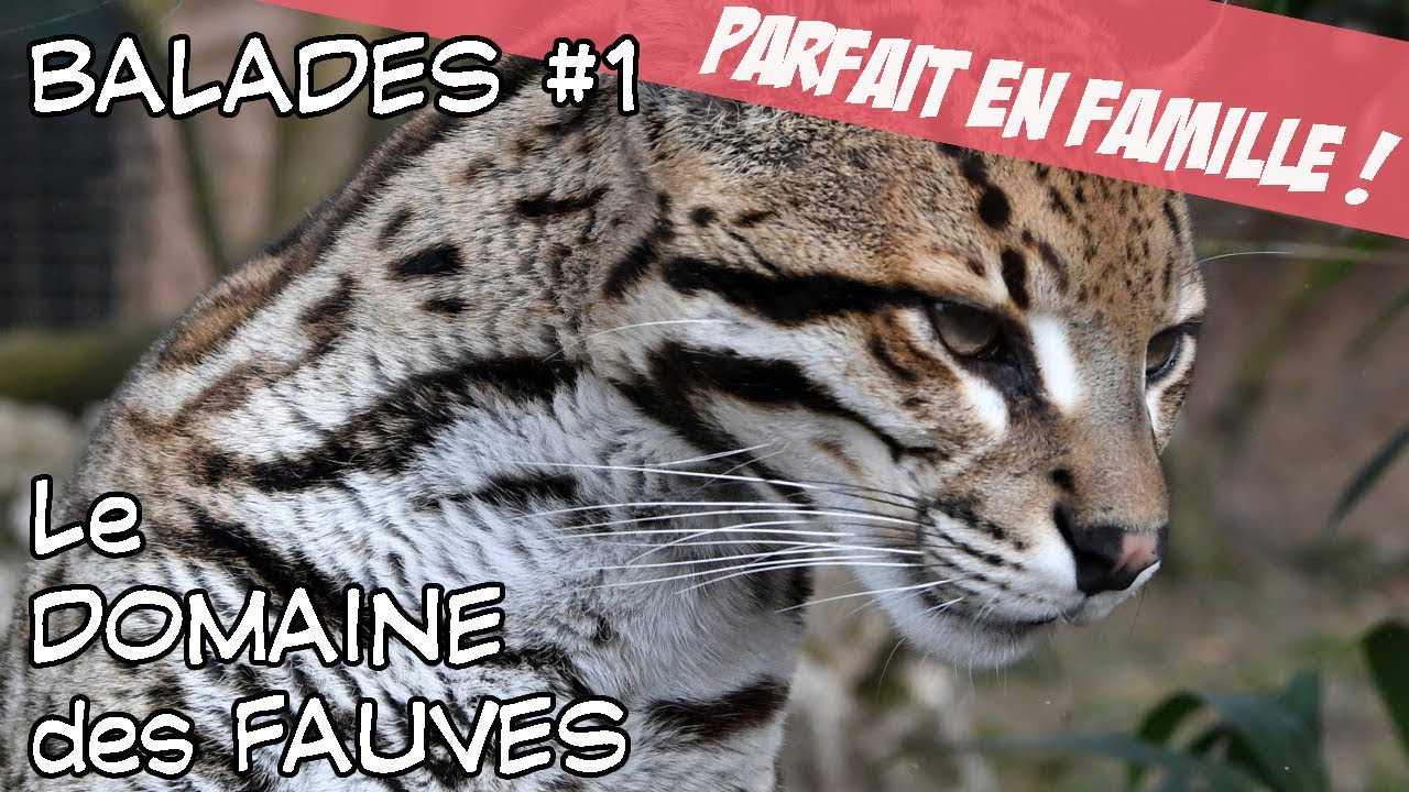 Balades #1 :  le Domaine des Fauves, 2023