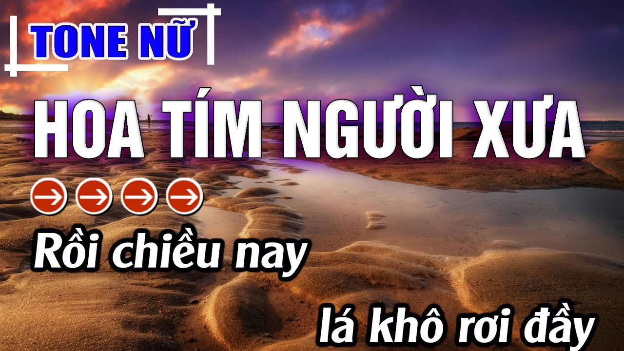 Hoa Tím Người Xưa Karaoke Tone Nữ ( Gm ) Beat Hay | Karaoke Đăng Khôi