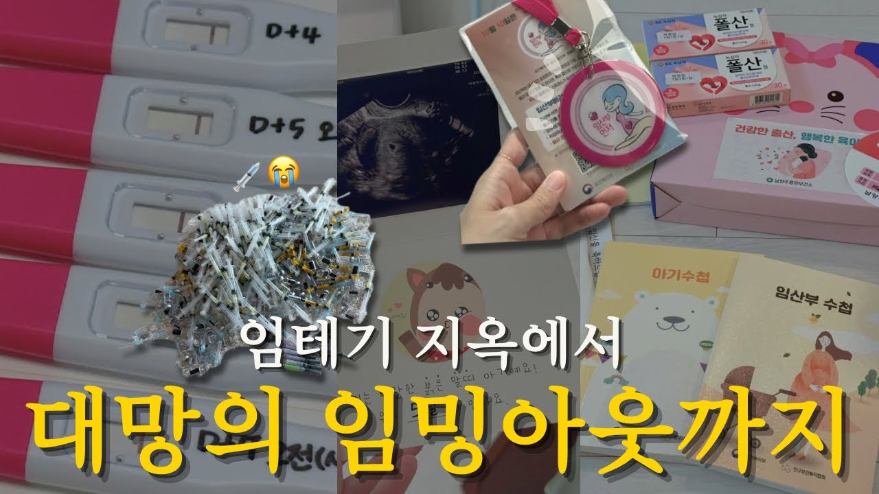 [vlog] 💥임테기 지옥에서 대망의 임밍아웃까지👶🏻 | 시험관 성공, 이식n일차 검색지옥, 임밍아웃 브이로그