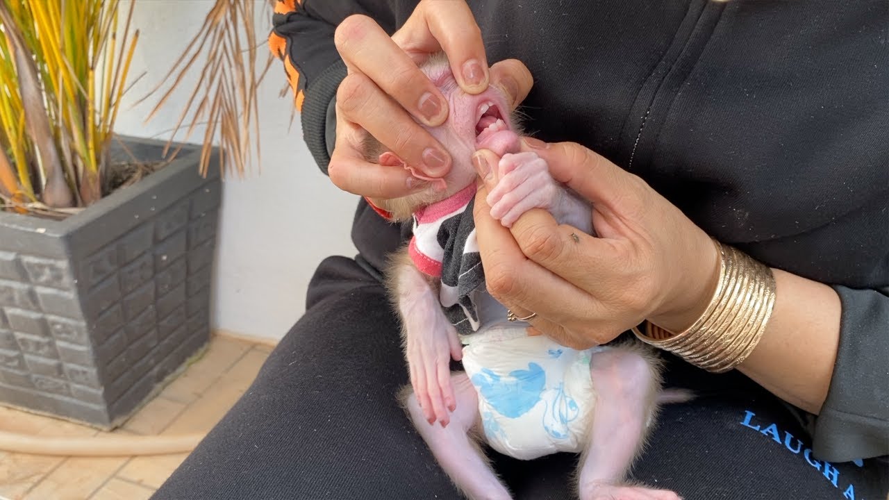 Today Mom Found Baby Tauch Has Grow 4 Teeth