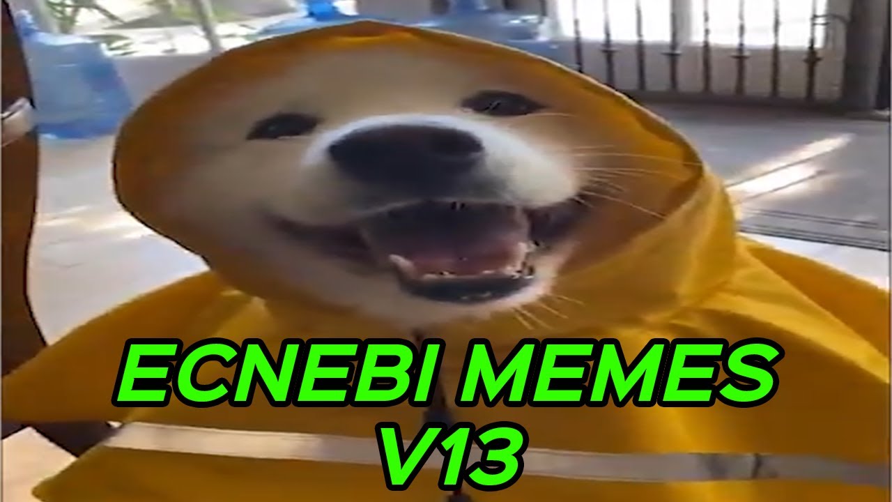 ИНОСТРАННЫЕ МЕМЫ V13