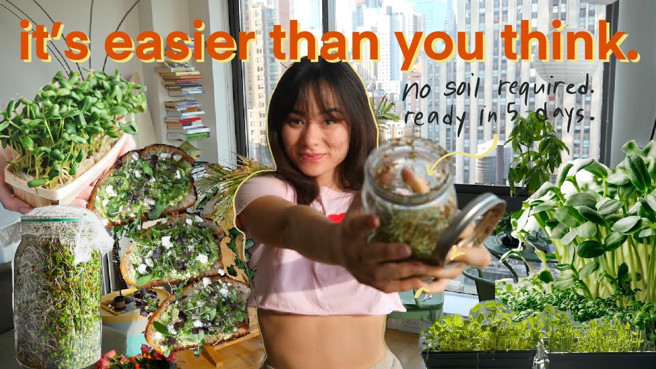 How I grow vegetables in my apartment + microgreen / sprouts recipe ideas
