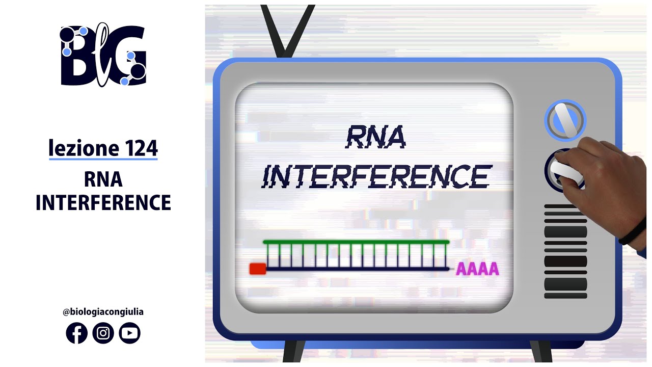 RNA INTERFERENCE (Interferenza a RNA): siRNA e miRNA