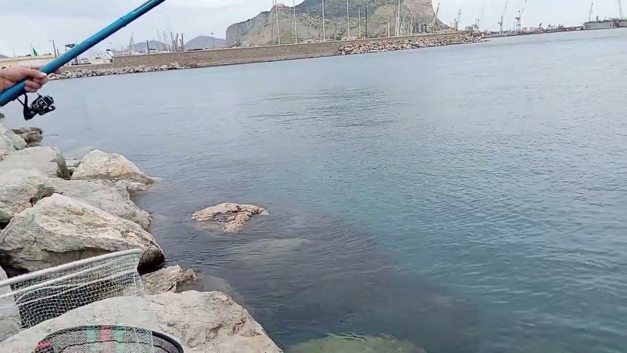Pesca all'orata 