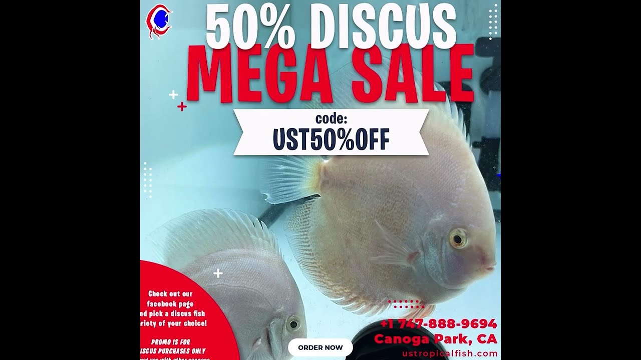 Uncle Sam's Discus Mega Sale