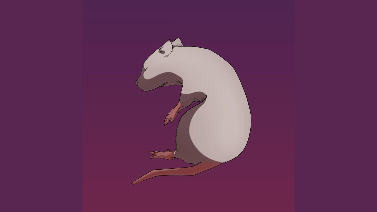 alt r