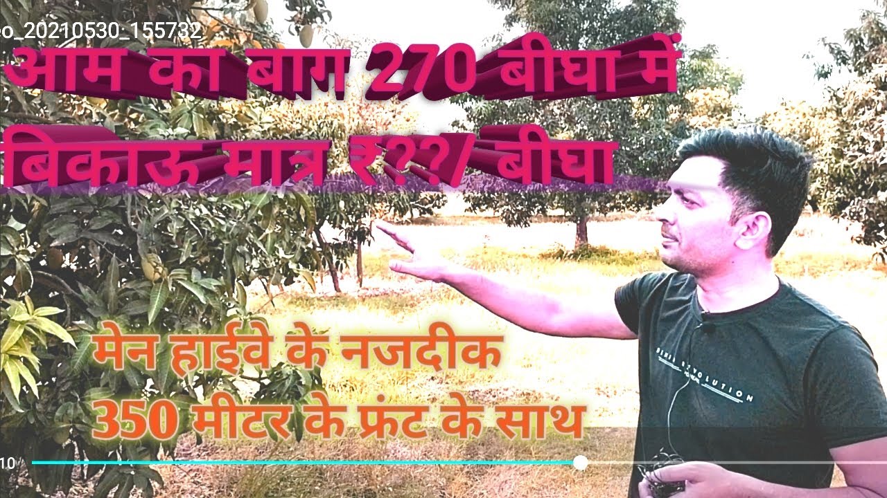 270 बीघा आम का बाग मेन हाइवे पर