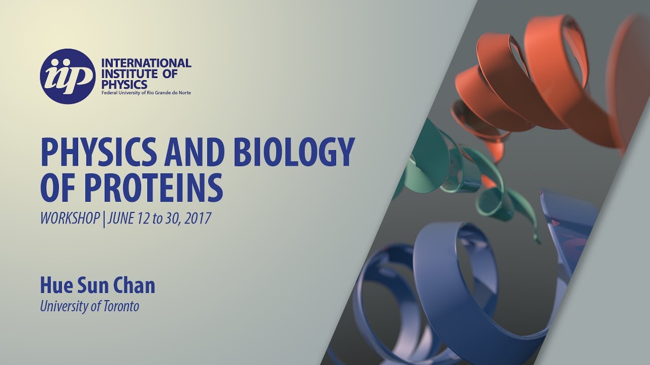 Conformational Heterogeneity and Organelle-Like Liquid-Liquid Phase - Hue Sun Chan