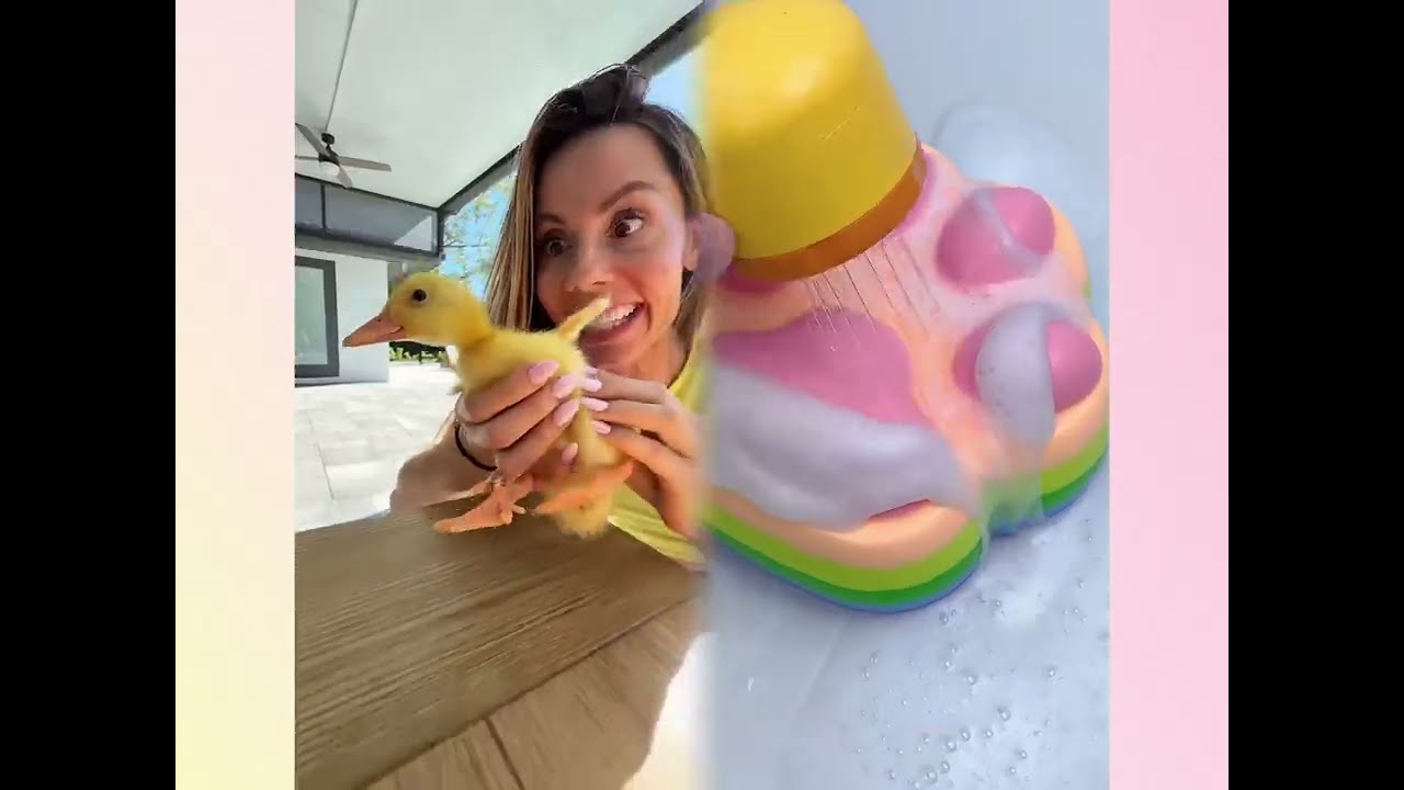 🤣👌👌👌2026 pov Must-Watch Crazy Clips Compilation #humor #fypシ #pov #fyp #foryou 😍😜