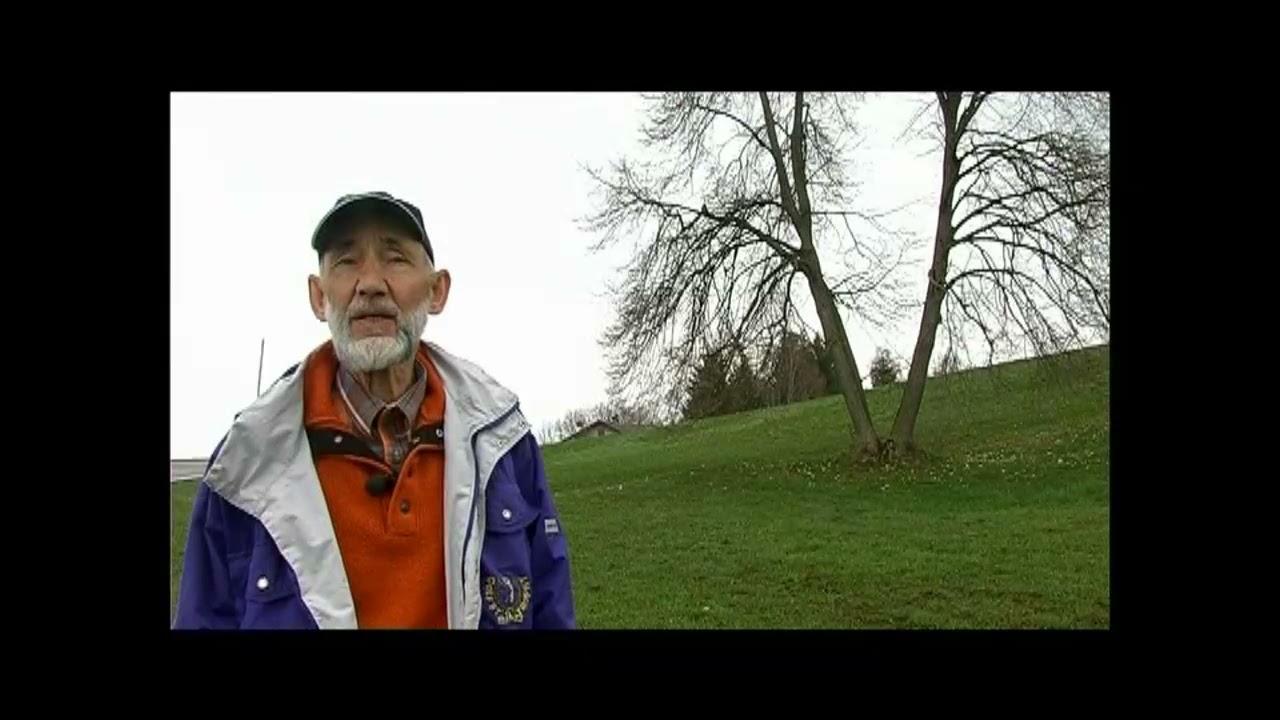 Alberi monumentali della Provincia di Belluno