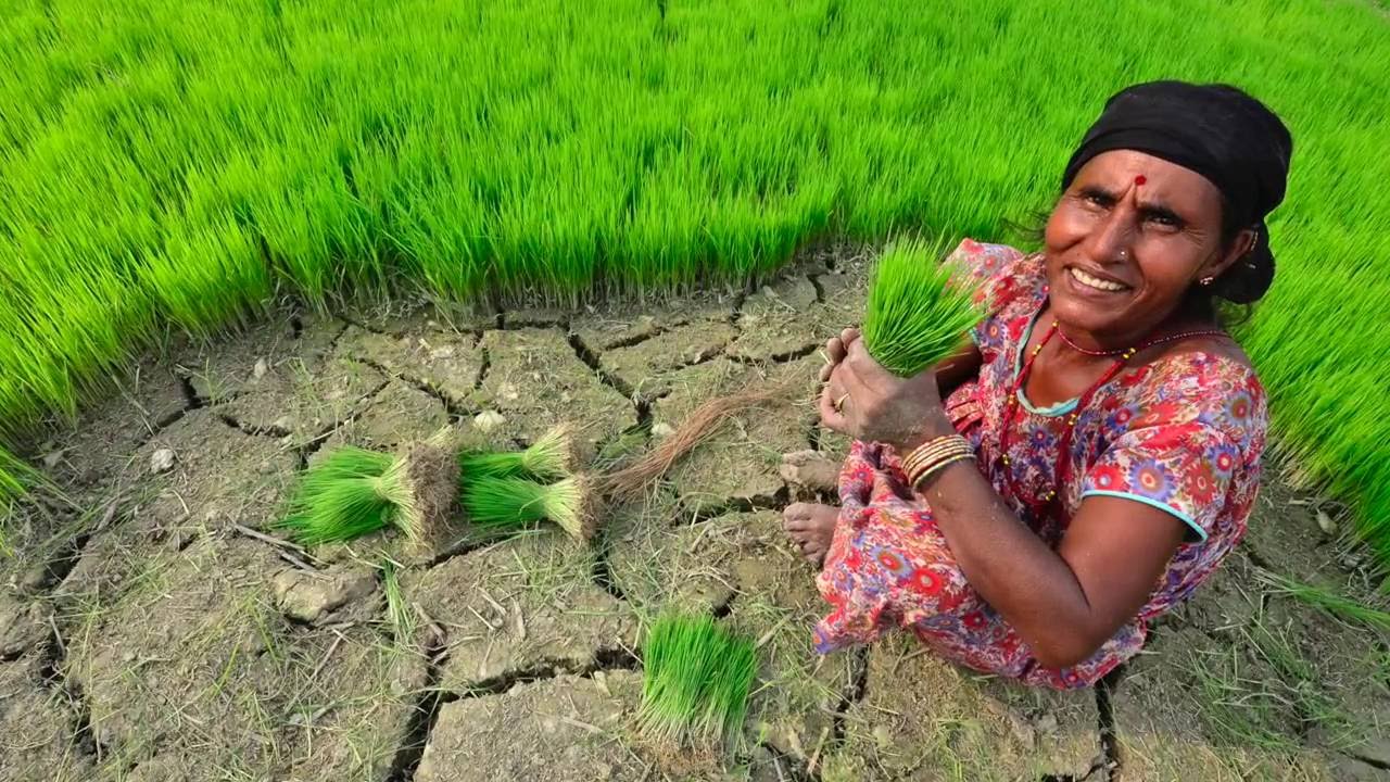 Crop Wild Relatives Project Review