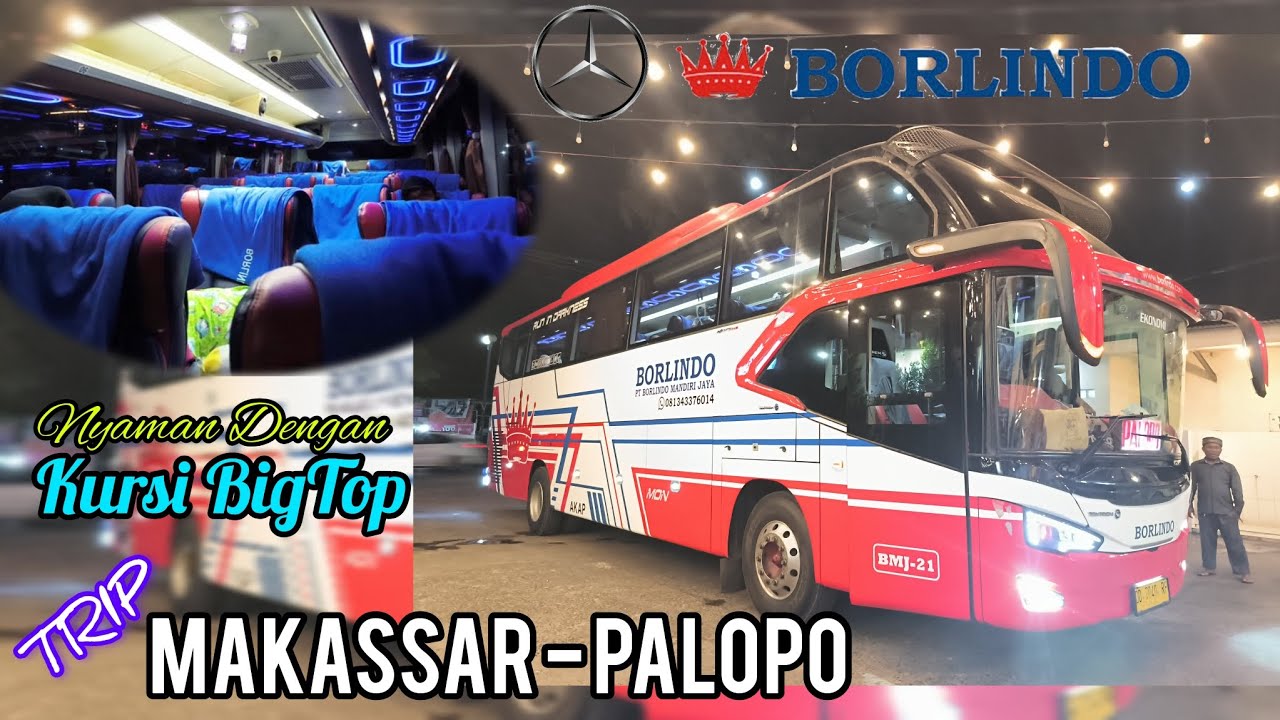 TRIP MAKASSAR - PALOPO‼️BUS BORLINDO DENGAN KELAS BIGTOP❗KELAS PREMIUM HARGA TERJANGKAU