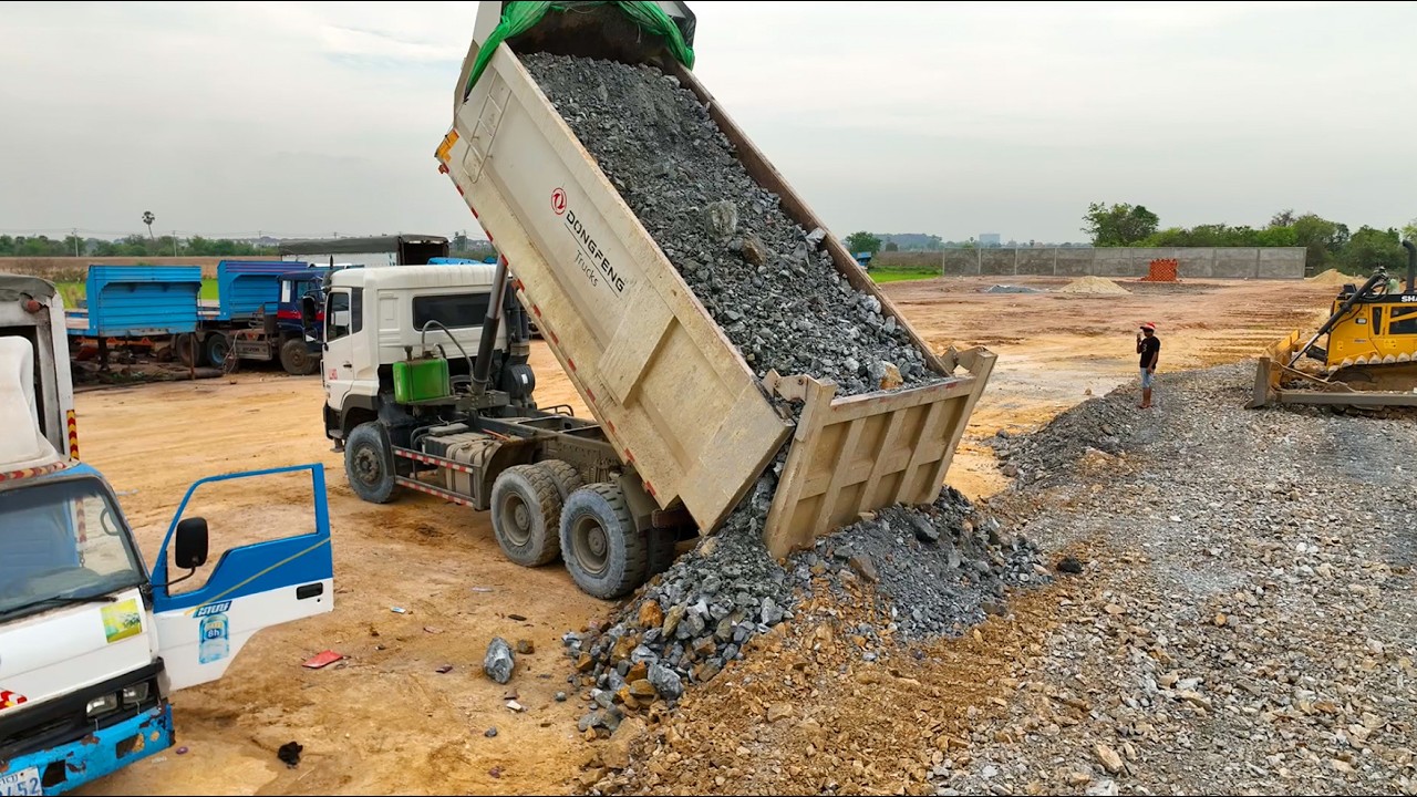 Wow Amazing Work,Bulldozer SHANTUI C3 Push StoneFilling Land With Dump TrucksUnloading Stone