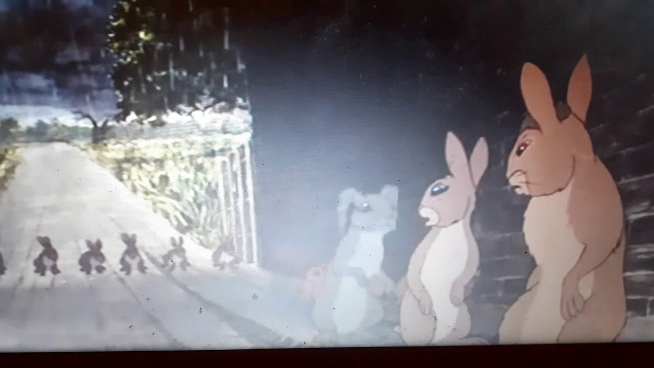 watership down escape from efrafa
