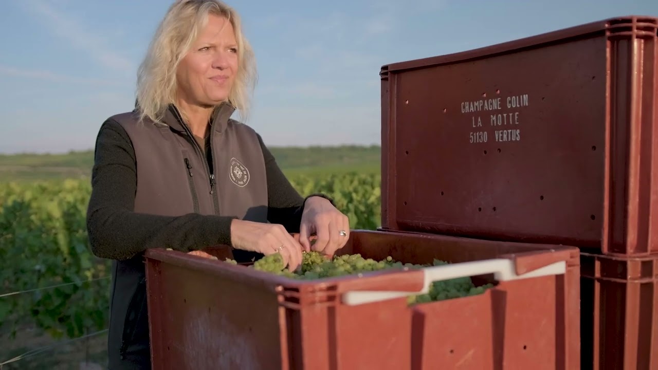 Champagne Colin - Vendanges 2022