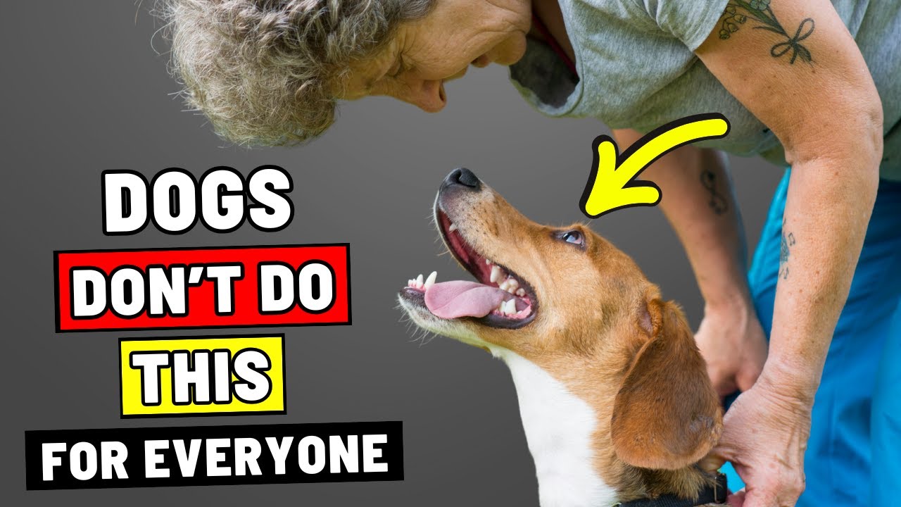 If You're Over 50, Your Dog Will Start Doing THIS
