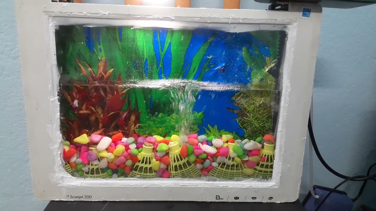 HP SCANJET TO AQUARIUM