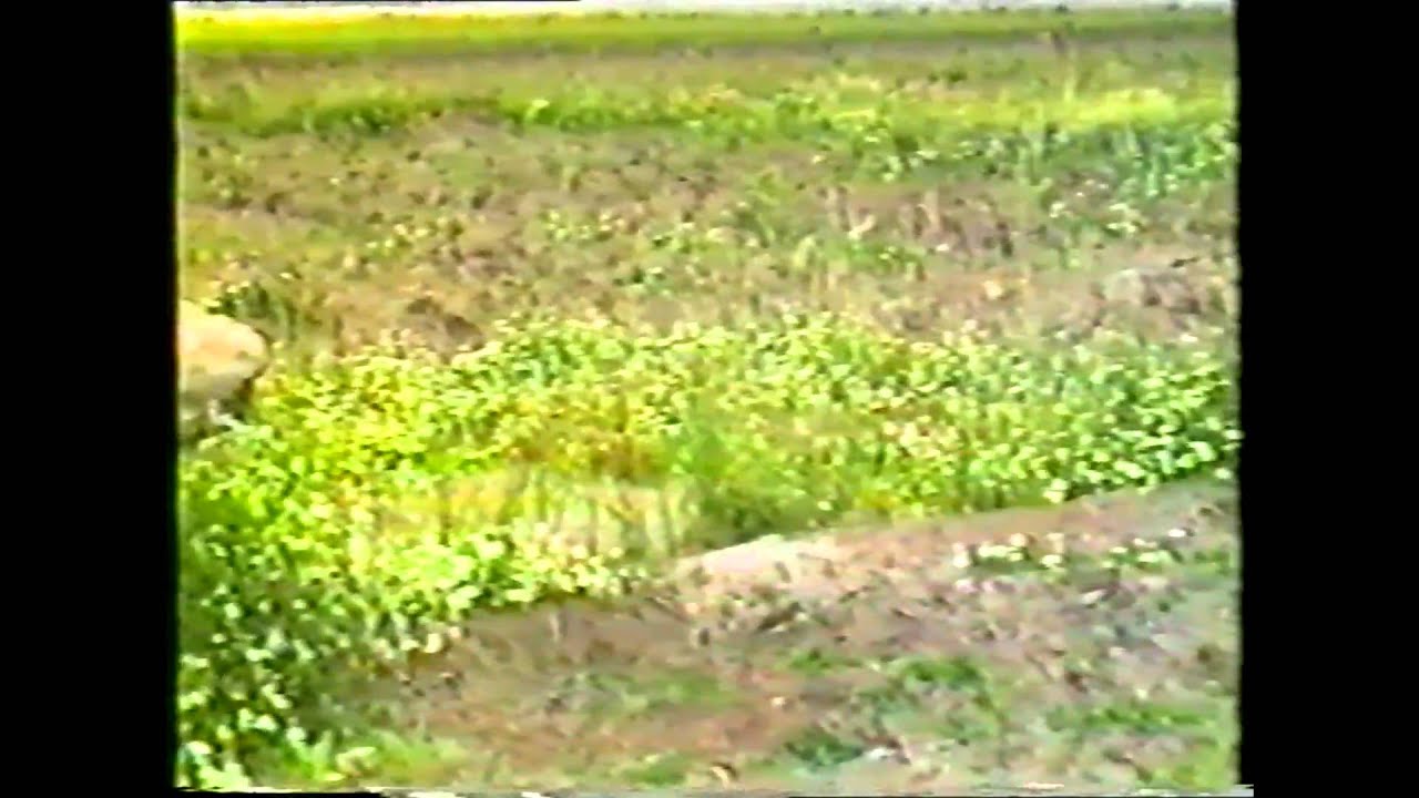 PENDILHE O PASSADO E O PRESENTE PART 2