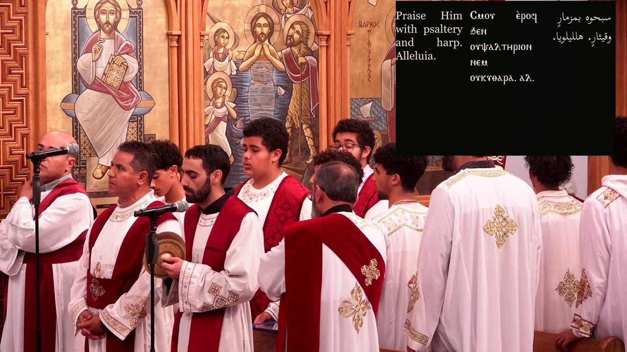 St Mark LA Live
