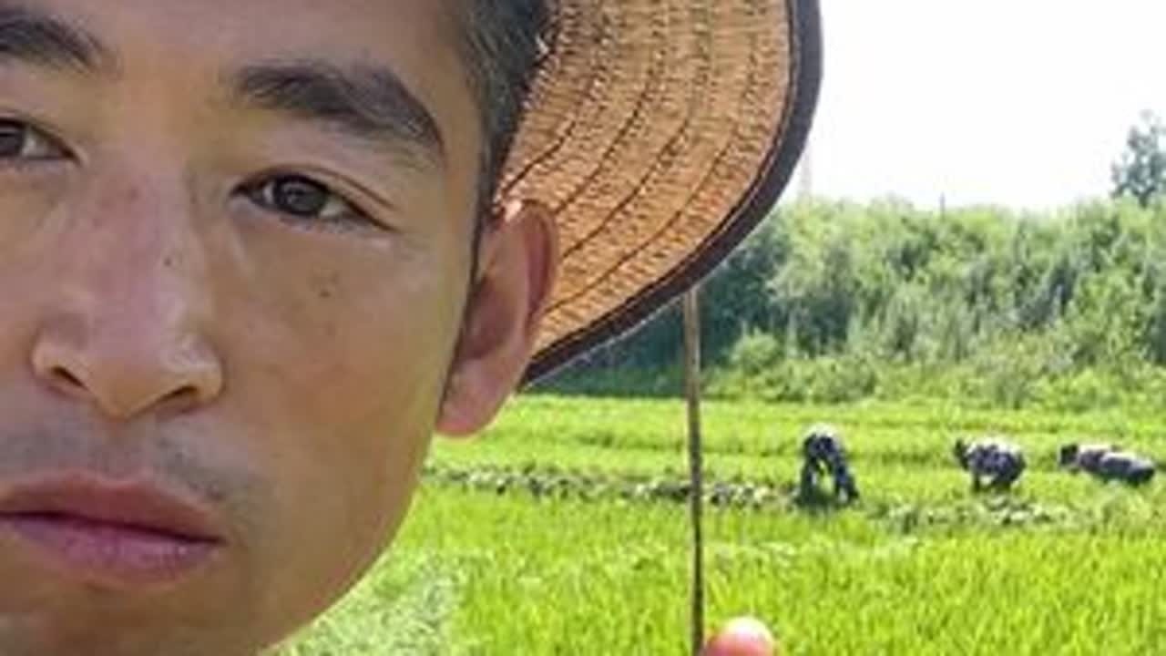 挑战原始种植，吃放心产品，一个小农民的生态之路