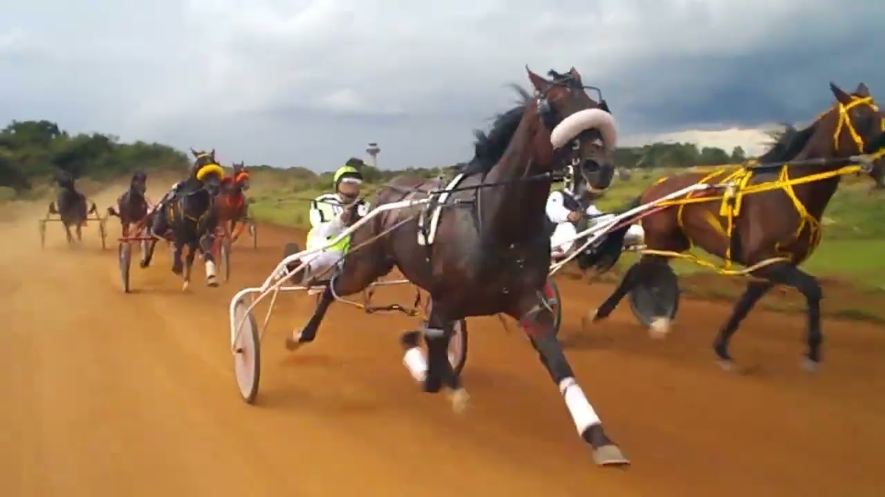 1.uriel. 1.53.8 2.alcon.1.55.30 3. gentil 4. vanidoso 5. artico 6. ultimatiun 7.ignacio