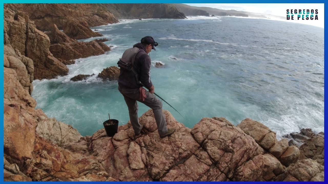 Uma jornada estranha, um peixe inesperado e um final improvável