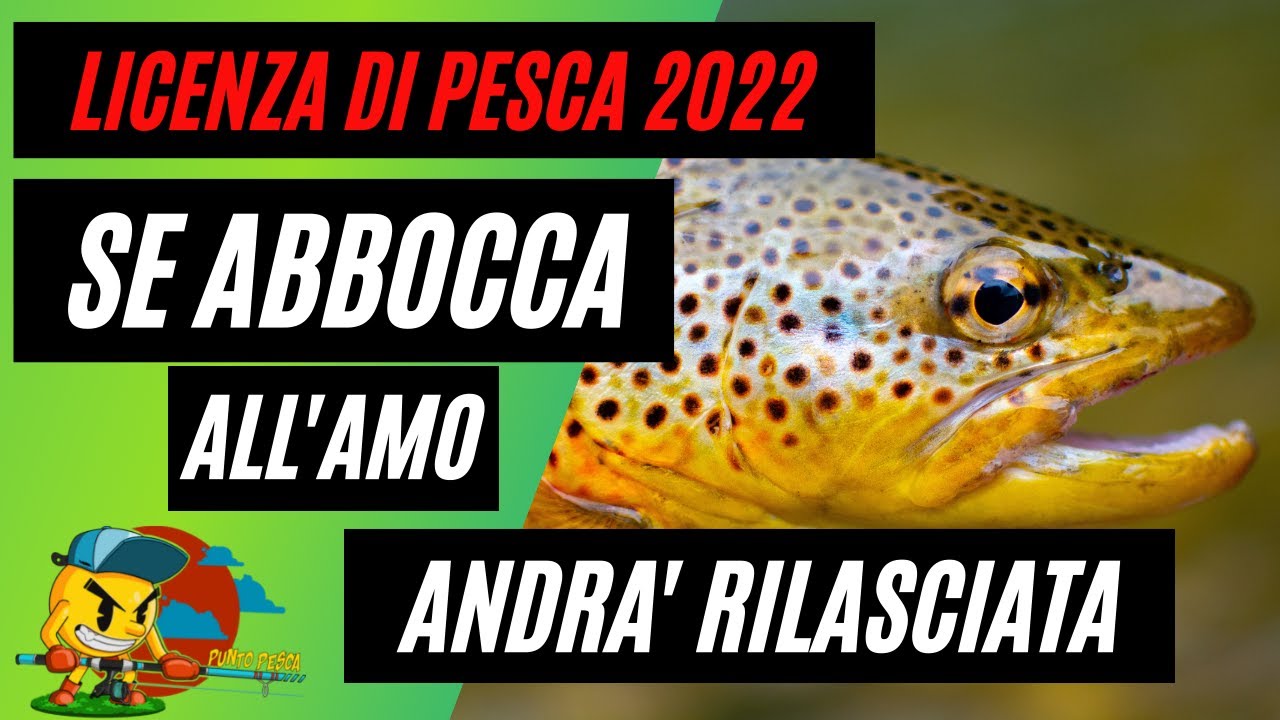 Licenza di pesca 2022 🎣 Se abbocca all'amo andrà RILASCIATA !!!!
