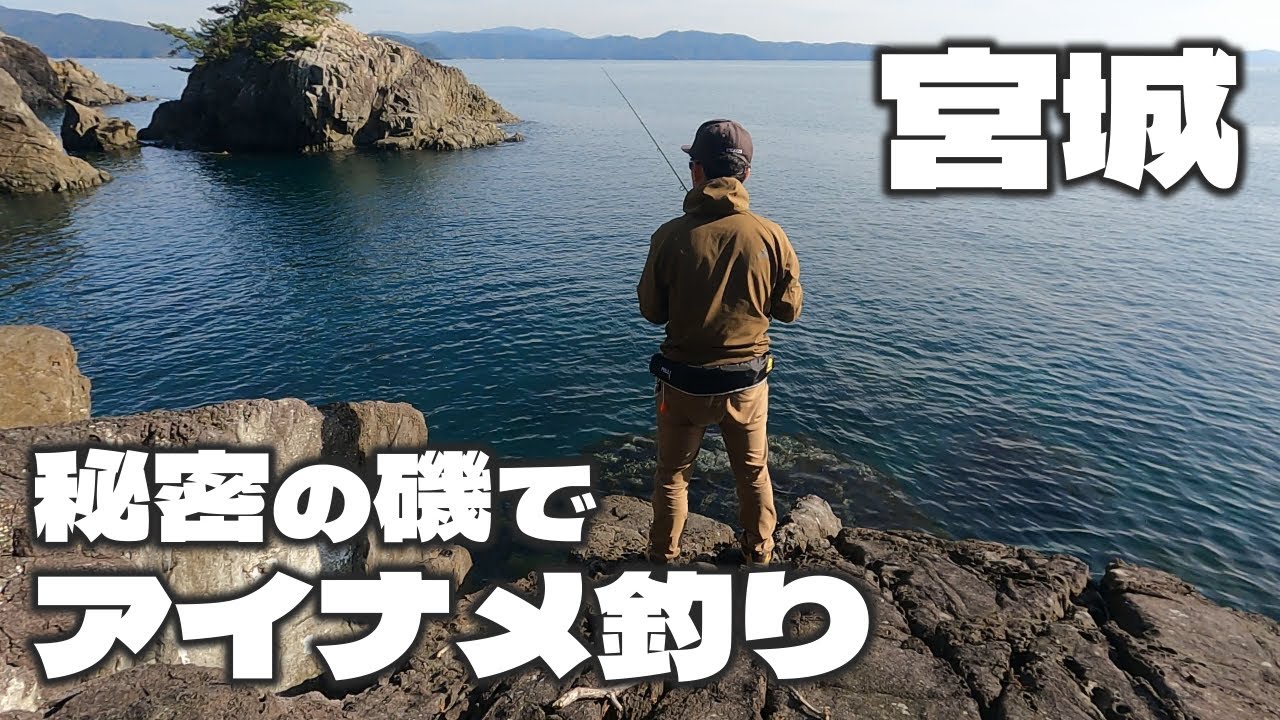【宮城釣り】半島で見つけた秘密の磯でアイナメ釣り