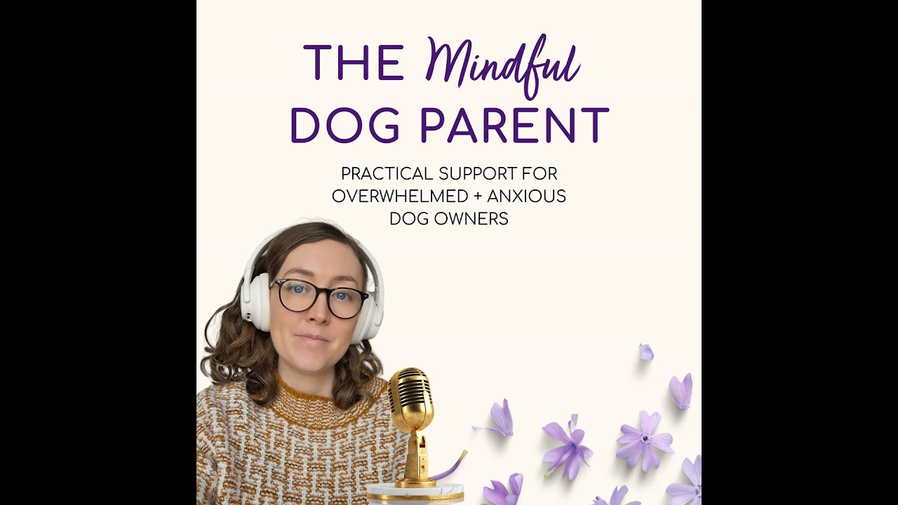 Why Your Dog’s Behaviour Feels So Triggering (And What to Do About It)