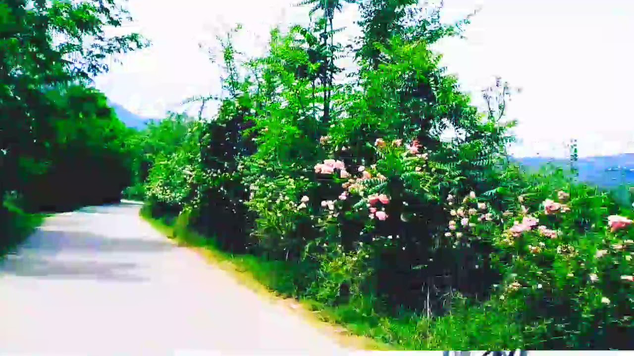 ## Natural beauty of biakand valley#Peace of village# Subscribe the channel ##