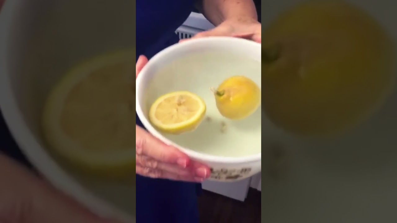 Clean The Microwave With Lemon #shorts #flyladykat