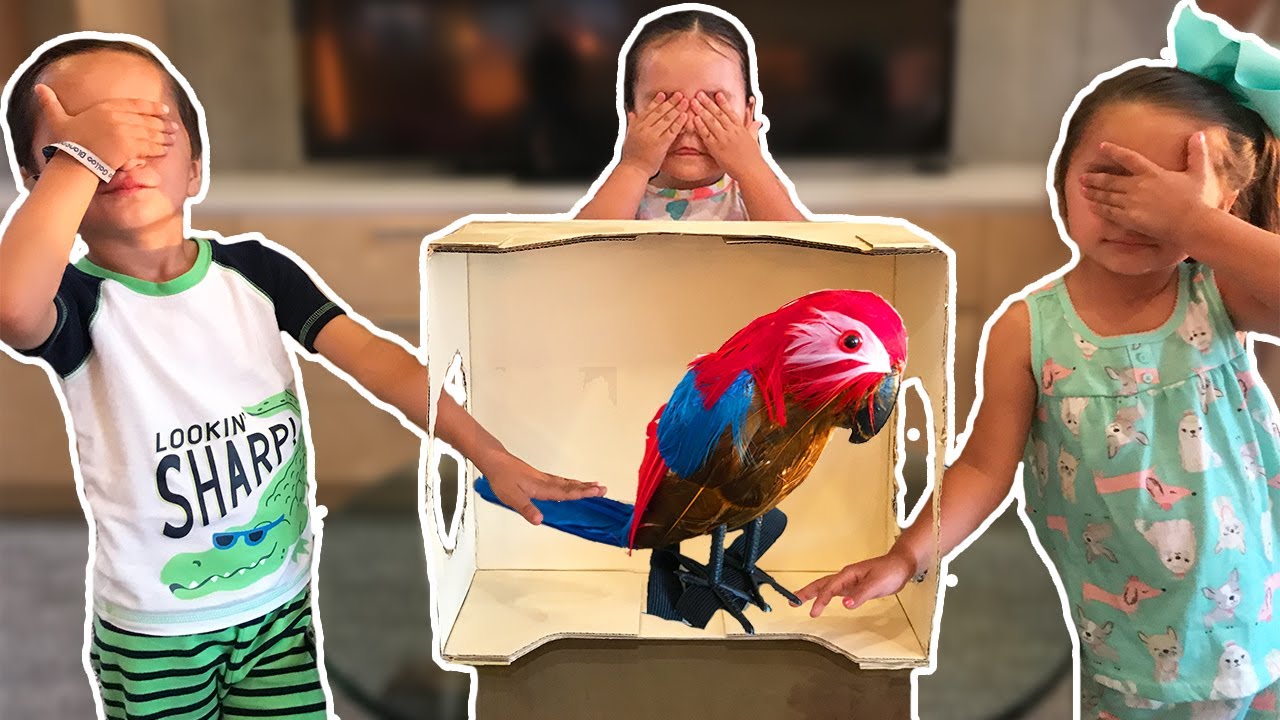 ¿QUÉ HAY EN LA CAJA CHALLENGE? | WHAT'S IN THE BOX CHALLENGE