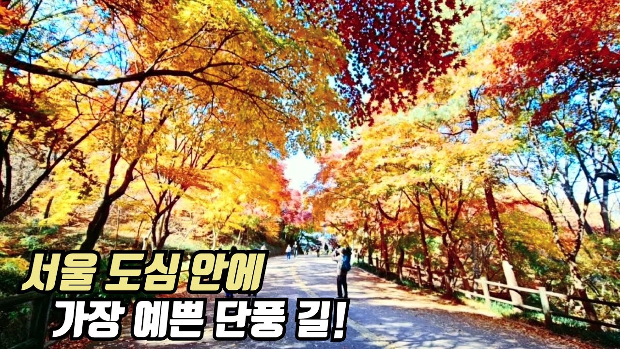 🍁 한옥카페, 맛집, 단풍명소 3곳 🚈 지하철 역에서 바로시작