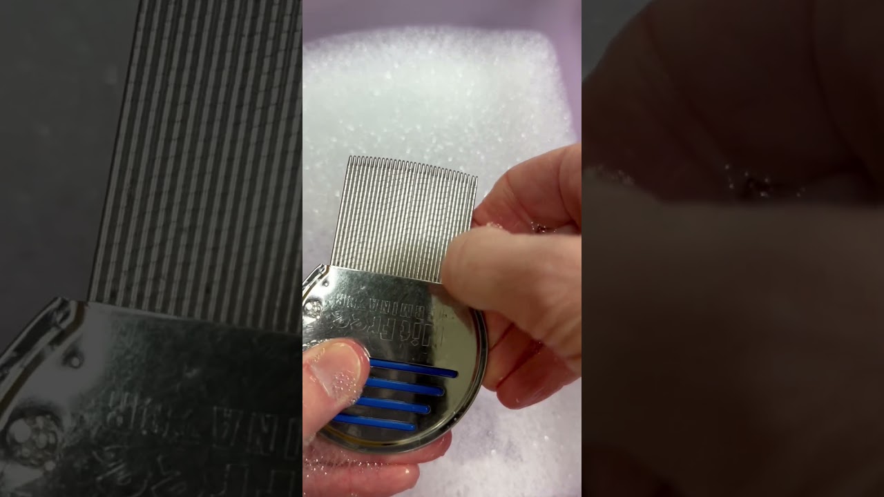 How to Clean a Nit Comb #licecenterswi #licecomb #lice