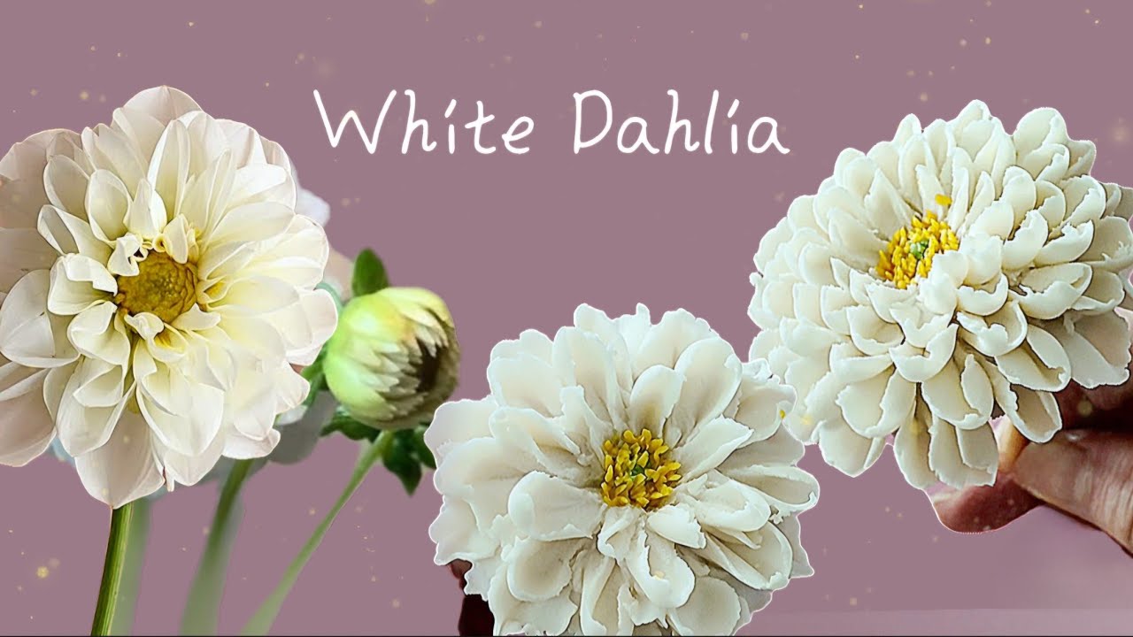 화이트 다알리아 앙금플라워 꽃짜기 쉬운방법 creamflower White Dahlia flower piping